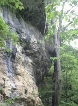 rock bluffs