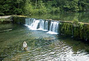 Rockbridge Trout Ranch