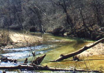 Brush Creek