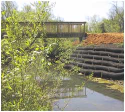 Streambank Restoration