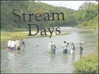 Stream Days