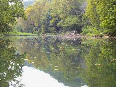 Bryant Creek in Fall